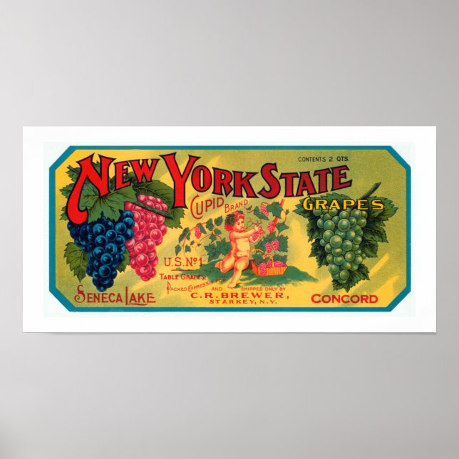 New York State Grapes Poster (Vorne)