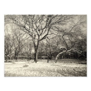 New York Winter - East Village Snow Fotodruck