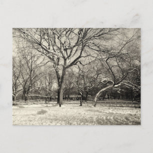 New York Winter - East Village Snow Postkarte
