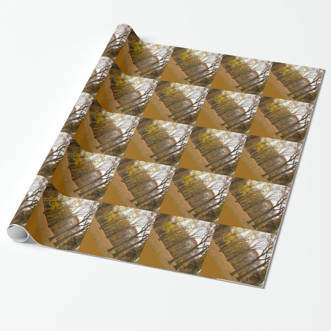 New York Wrapping Paper Central Park - Geschenkpap Geschenkpapier (Ungerollt)