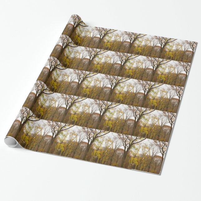 New York Wrapping Paper Central Park - Geschenkpap Geschenkpapier (Ungerollt)