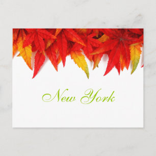 New Yorker Herbstlaub Postkarte