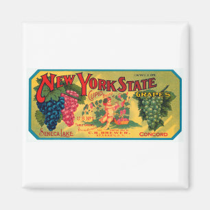 New Yorker Staatstrauben Magnet