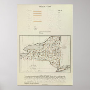 New- YorkStaatsatlas Poster