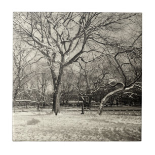 New- Yorkwinter - East Village-Schnee Fliese
