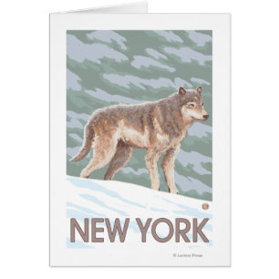 New YorkWolf Scene