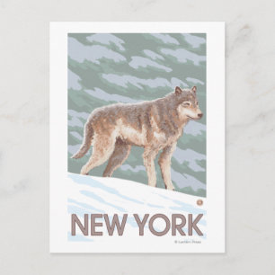 New YorkWolf Scene Postkarte