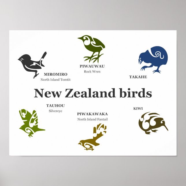 New Zealand Birds poster (Vorne)