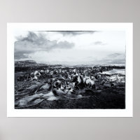 New Zealand, Curio Bay & The Catlins Coast