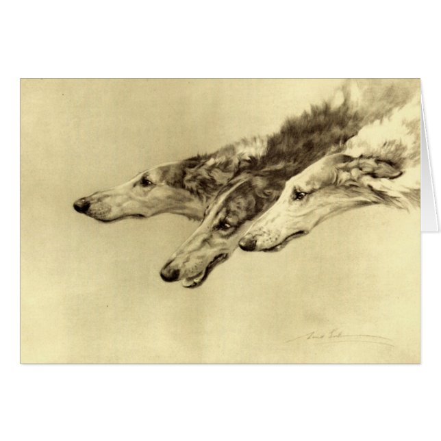 Newcastle Borzoi (Vorderseite (Horizontal))