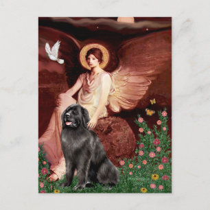 Newfie 2 - Sitzender Engel Postkarte