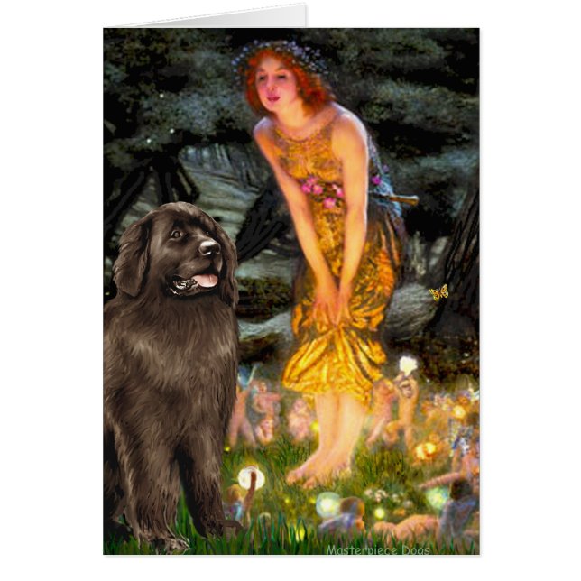 Newfie (braun) - MidEve (Vorne)