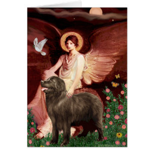 Newfie (braun) - sitzender Engel