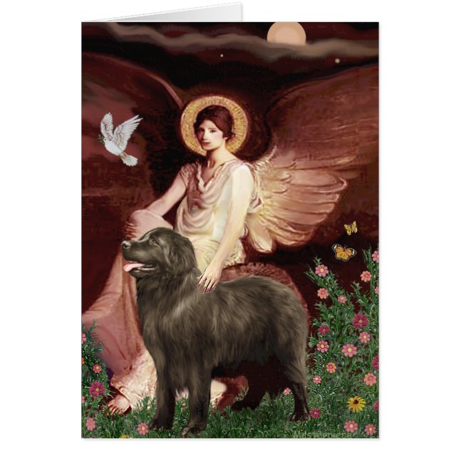 Newfie (brun) - Ange assis (Devant)