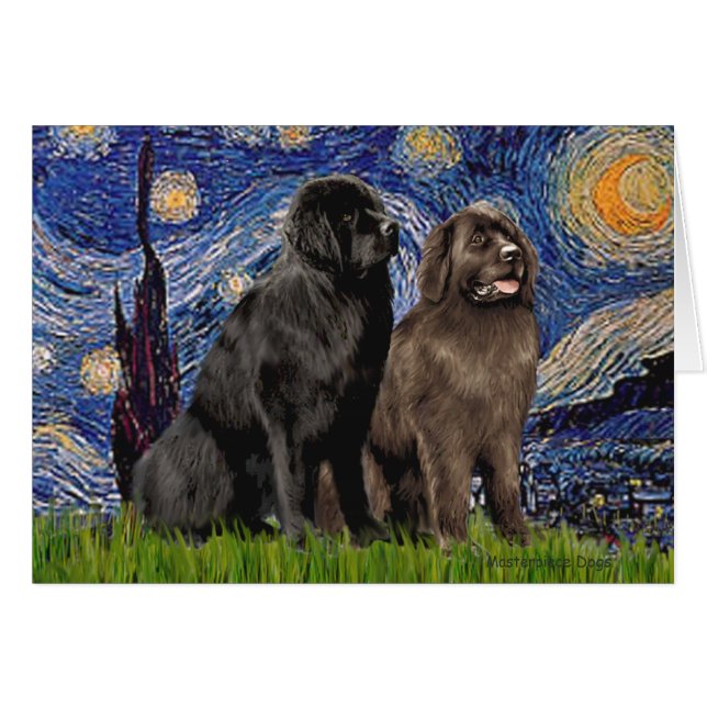 Newfie Pair - Nuit étoilée (Devant horizontal)