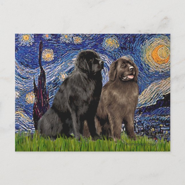 Newfie Pair - Starry Night Postkarte (Vorderseite)