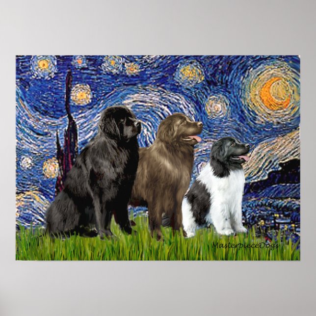 Newfie Trio - Starry Night Poster (Vorne)
