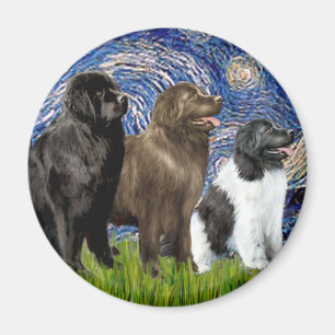 Newfie Trio - Sternennacht Magnet