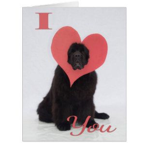 Newfie Valentinsgruß