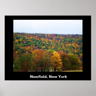 NEWFIELD NEW YORK-Plakat Poster
