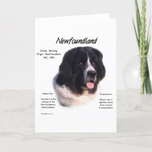 Newfoundland (landseer) History Design Karte