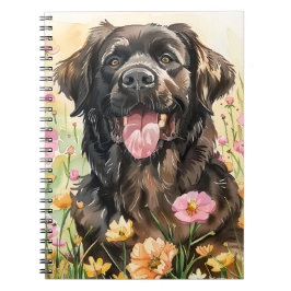 Newfoundland Watercolor Journal