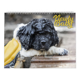 Newfy Baby Kalender