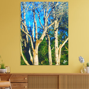 Newman Rd Whidbey Island Trees #1 Leinwanddruck