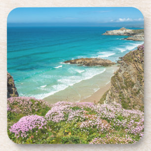 Newquay Strand in North Cornwall wilde Blume Klipp Getränkeuntersetzer
