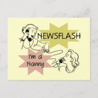 Newsflash Ich bin ein Kindermädchen und T - Shirt