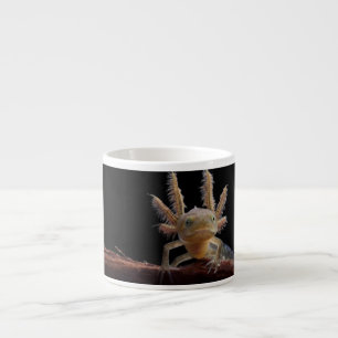 Newt larve mit Haube Espressotasse