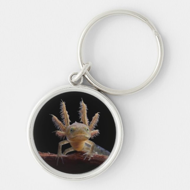 Newt larve mit Haube Schlüsselanhänger (Vorne)