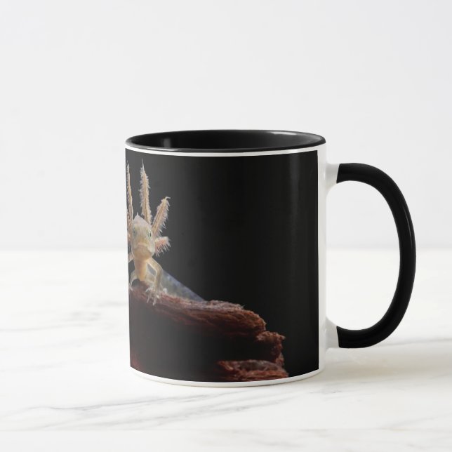 Newt larve mit Haube Tasse (Rechts)