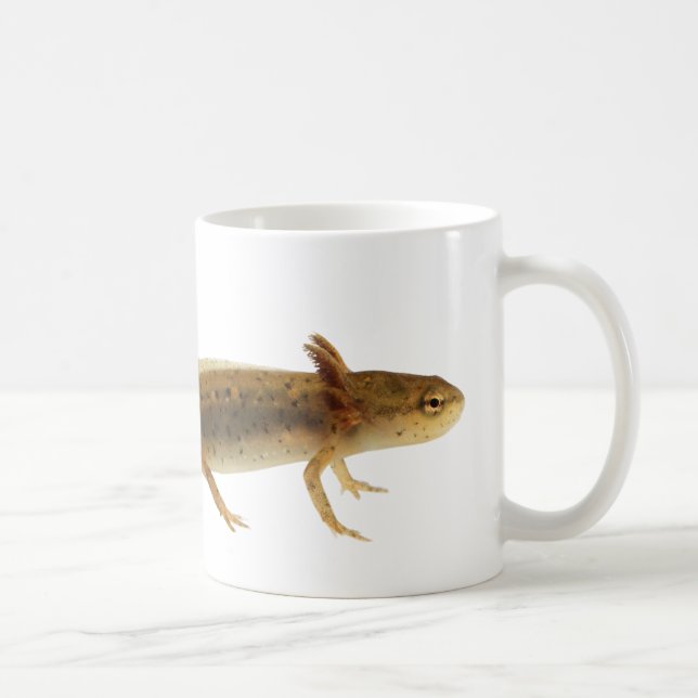 Newt-Larven-Tasse Kaffeetasse (Rechts)
