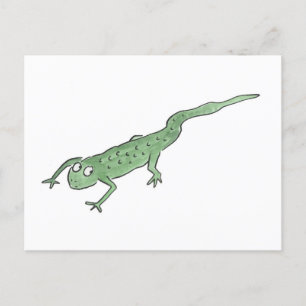Newt Postkarte
