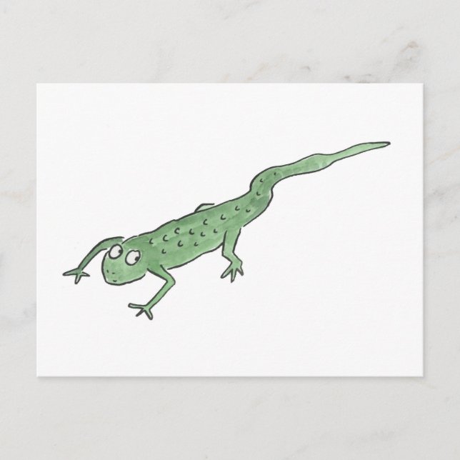 Newt Postkarte (Vorderseite)