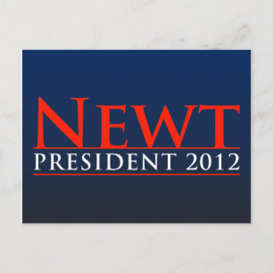 Newt Präsident 2012 Postkarte