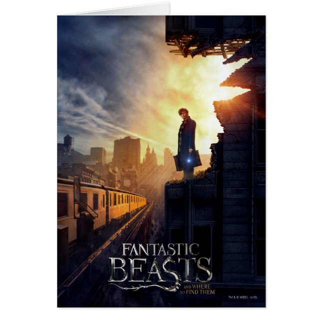 NEWT SCAMANDER™ dans un bâtiment détruit (Devant)