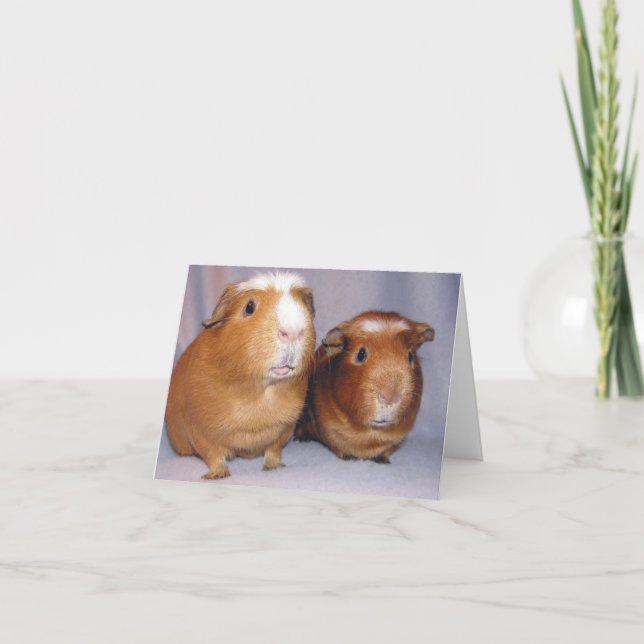 Newton und Skeeter Notecard Karte (Vorderseite)