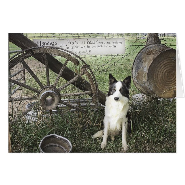 newtpraticefielddragonizer4x6 (Devant horizontal)