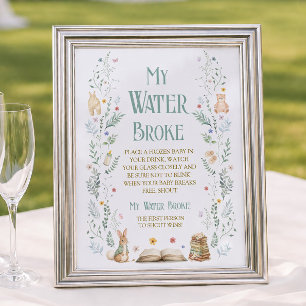 Next Chapter Baby Shower My Water Broke Spiel Poster