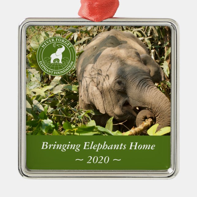 NFEF Square Ornament (Vorne)