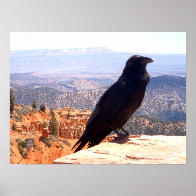 NG Crow Poster (Vorne)