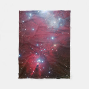 NGC 2264 und die Weihnachtsbaumgruppe Fleecedecke