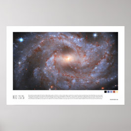 NGC 2525 (Hubble-Weltraumteleskop) Poster
