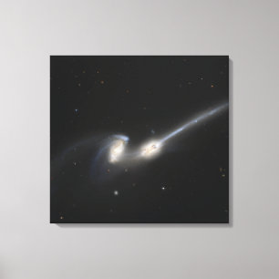 NGC 4676, alias die Mäusegalaxien Leinwanddruck