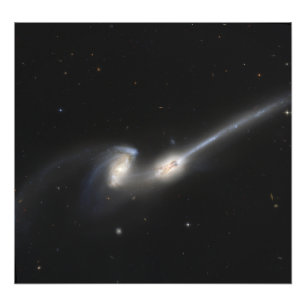 NGC 4676, auch bekannt als die Mäuseggalaxien Fotodruck