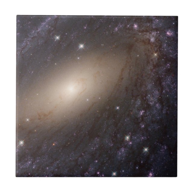 Ngc 6744, 30 Millionen Lichtjahre entfernt. Fliese (Vorderseite)