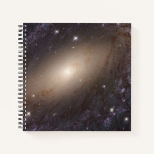 Ngc 6744, 30 Millionen Lichtjahre entfernt. Notizbuch