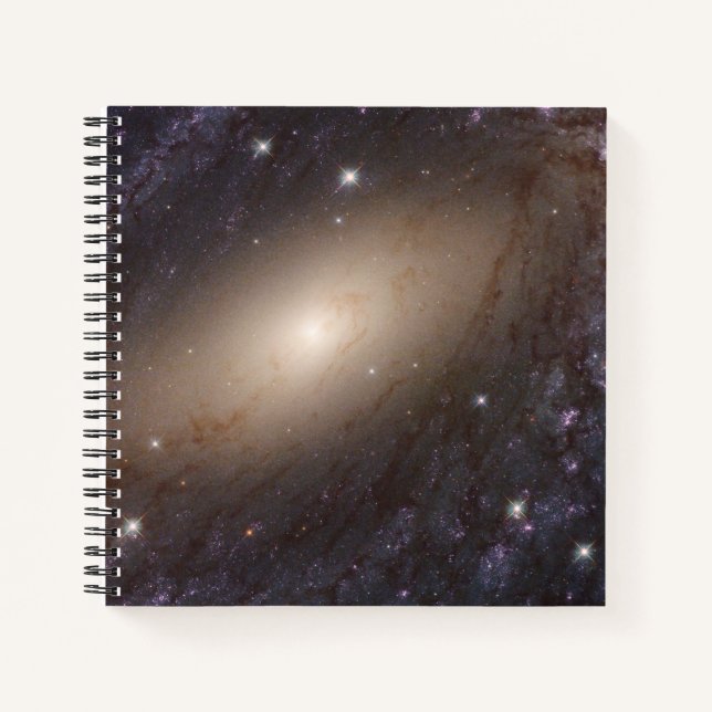 Ngc 6744, 30 Millionen Lichtjahre entfernt. Notizbuch (Vorderseite)